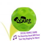 Wuff Ball | Green - Dog Ball With Special Bounce Sound