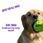Wuff Ball | Green - Very Tough Dog Ball