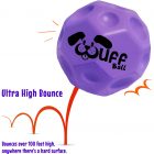 Wuff Ball | Purple - Dog Ball With Ultra High Bounce