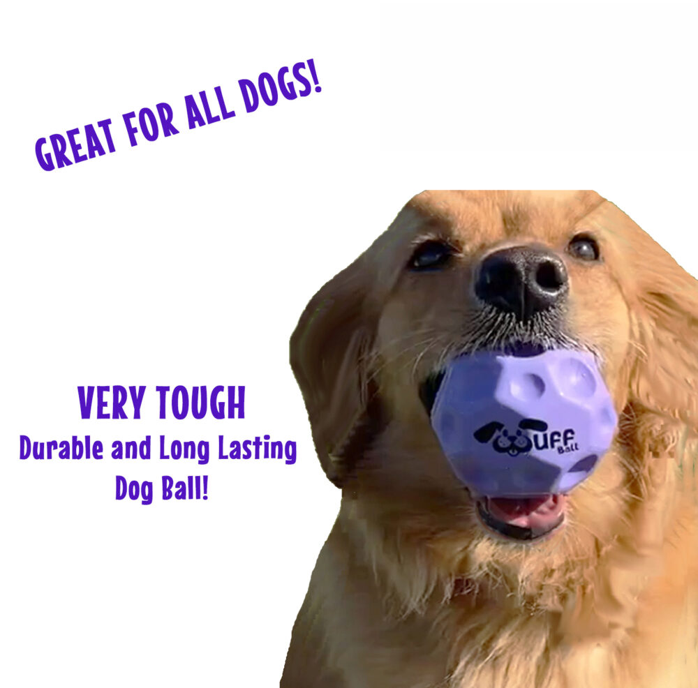 Wuff Ball | Purple - Very Tough Dog Ball