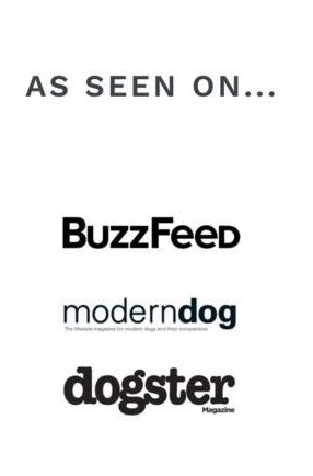 As Seen On Buzzfeed Moderndog Dogster