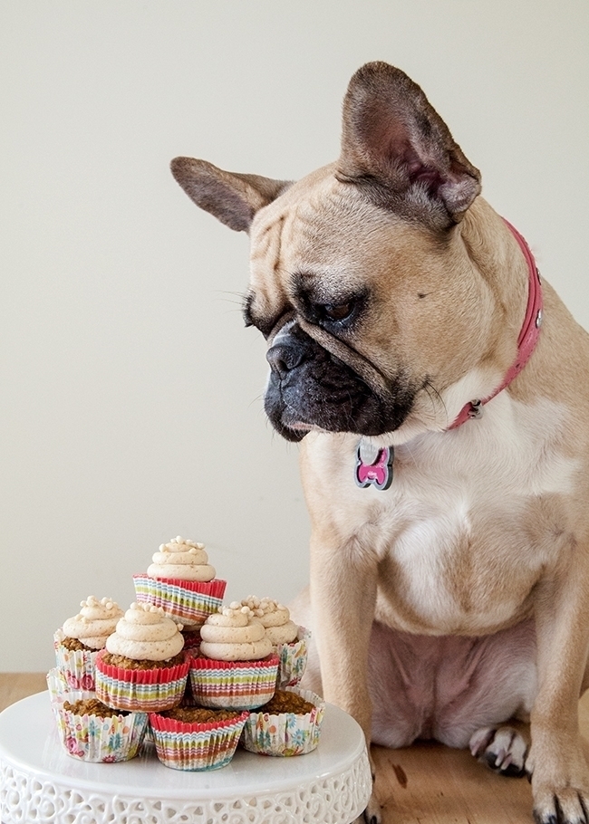 Dog Pupcake Recipe