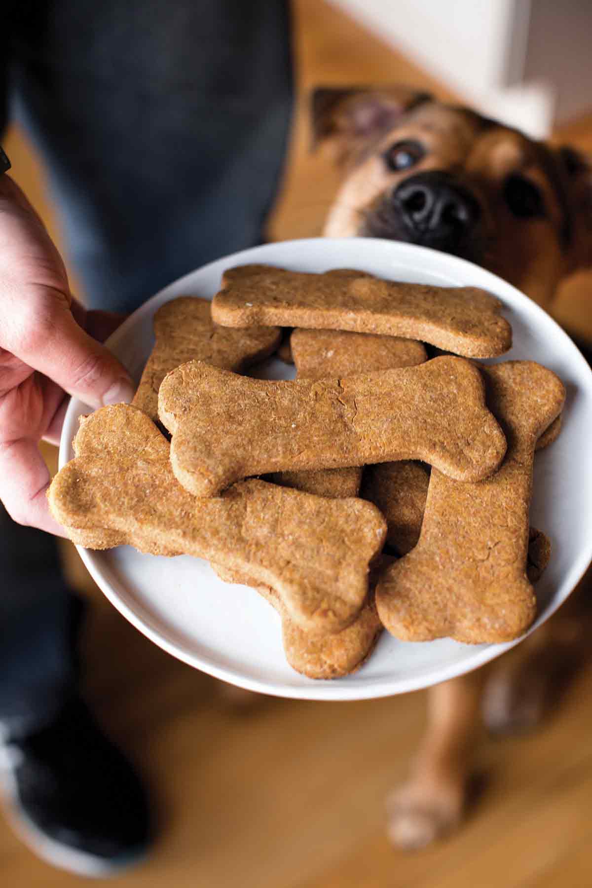 YUMMY PEANUT BUTTER HONEY DOG TREATS WUFF BALL